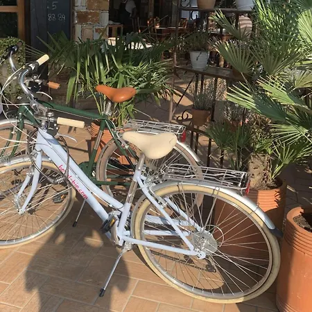 Bio Hotel Koper